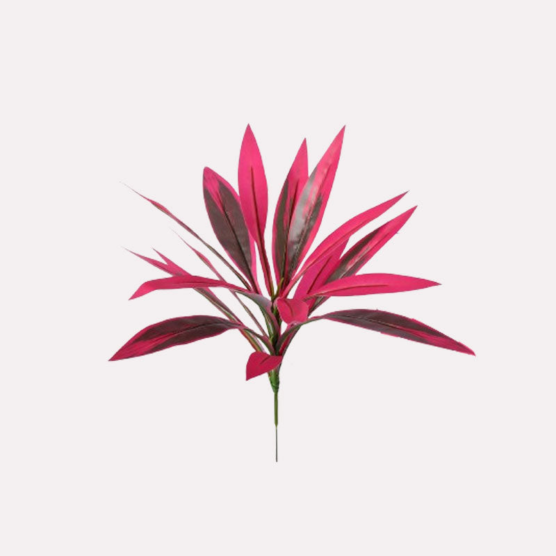 🌿 Finally… A Plant You Can’t Kill