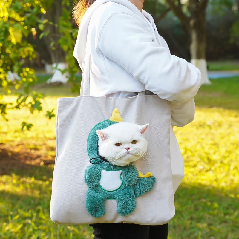 A playful pet carrier that feels ready for everyday outings