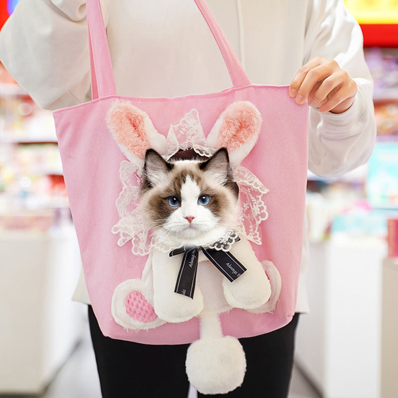 A playful pet carrier that feels ready for everyday outings