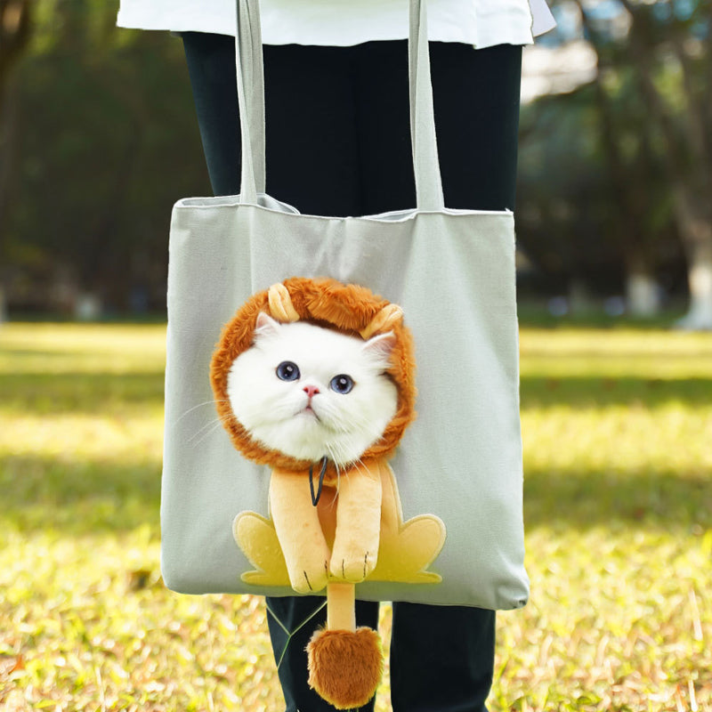 A playful pet carrier that feels ready for everyday outings