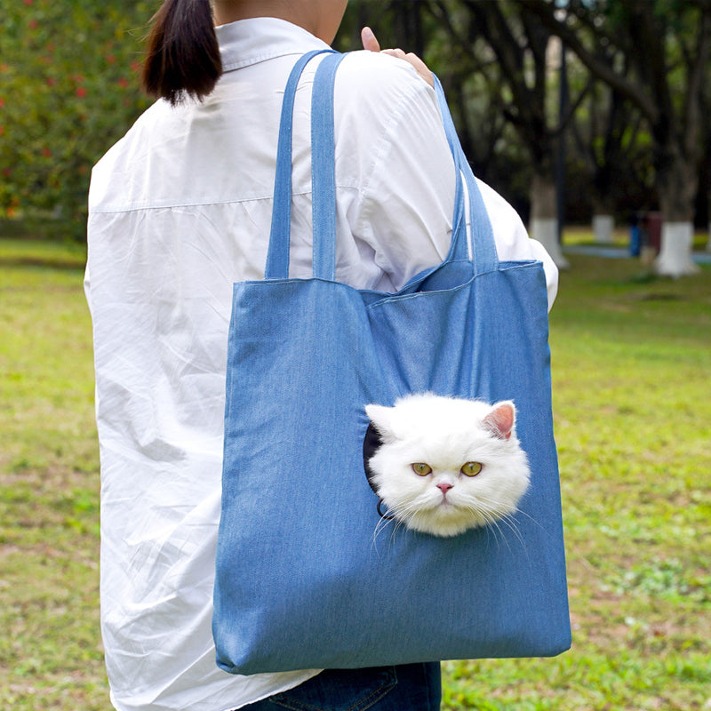 A playful pet carrier that feels ready for everyday outings