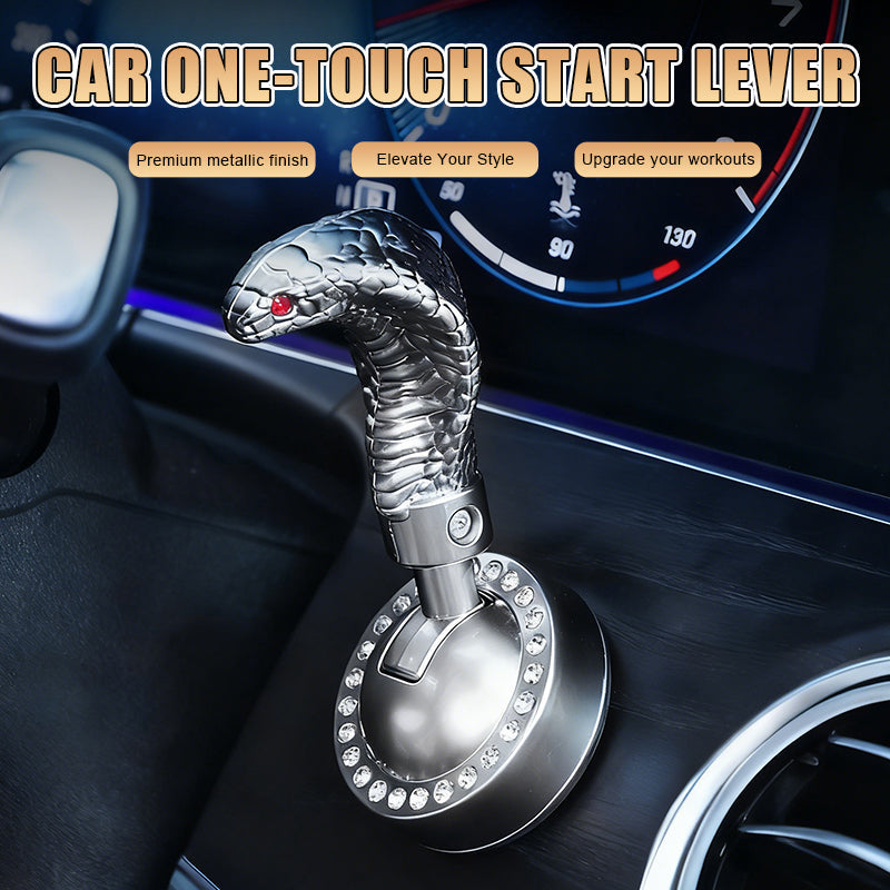 🐍Käärmeenmuotoinen auton yhden painikkeen käynnistysvipu