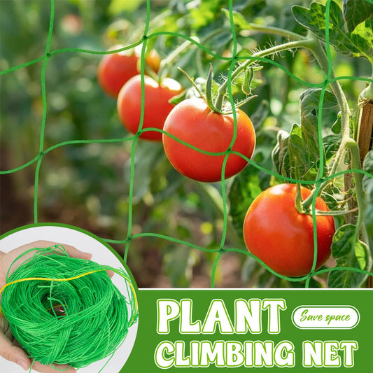 Plant Climbing Net