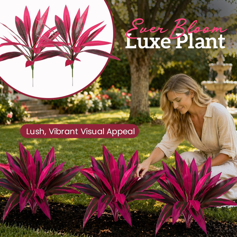🌿 Finally… A Plant You Can’t Kill