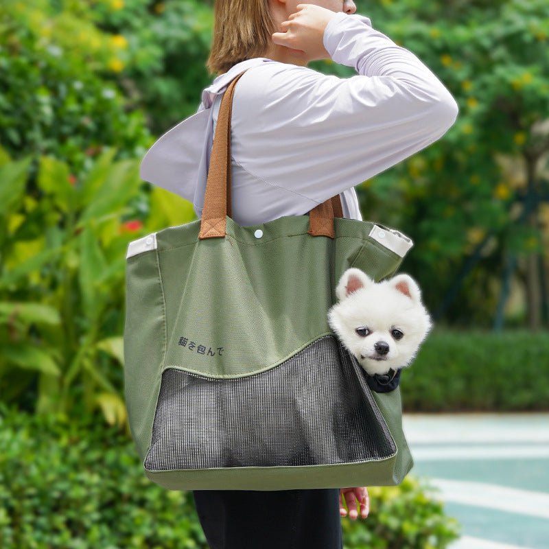 A playful pet carrier that feels ready for everyday outings
