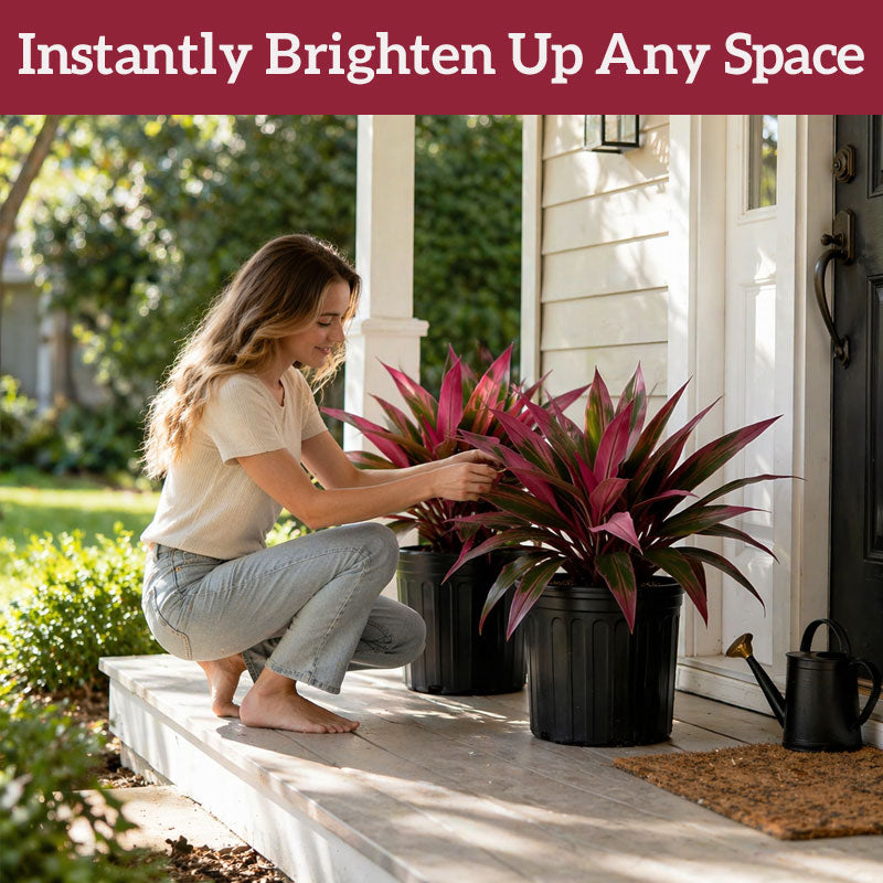 🌿 Finally… A Plant You Can’t Kill