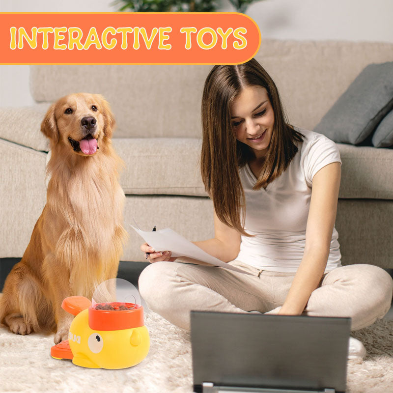 Pieni keltainen ankka -automaattiruokinta