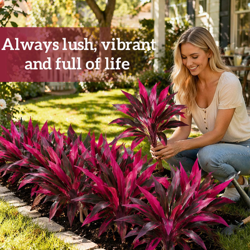 🌿 Finally… A Plant You Can’t Kill