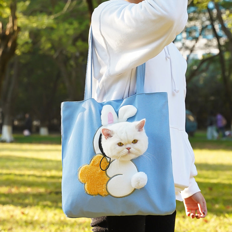 A playful pet carrier that feels ready for everyday outings