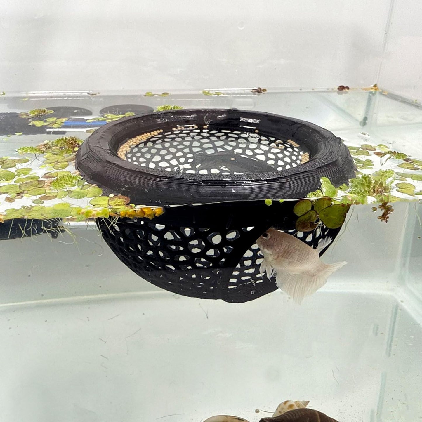 🐟 Floating Fish Rest Area｜Aquarium Hideout Accessory