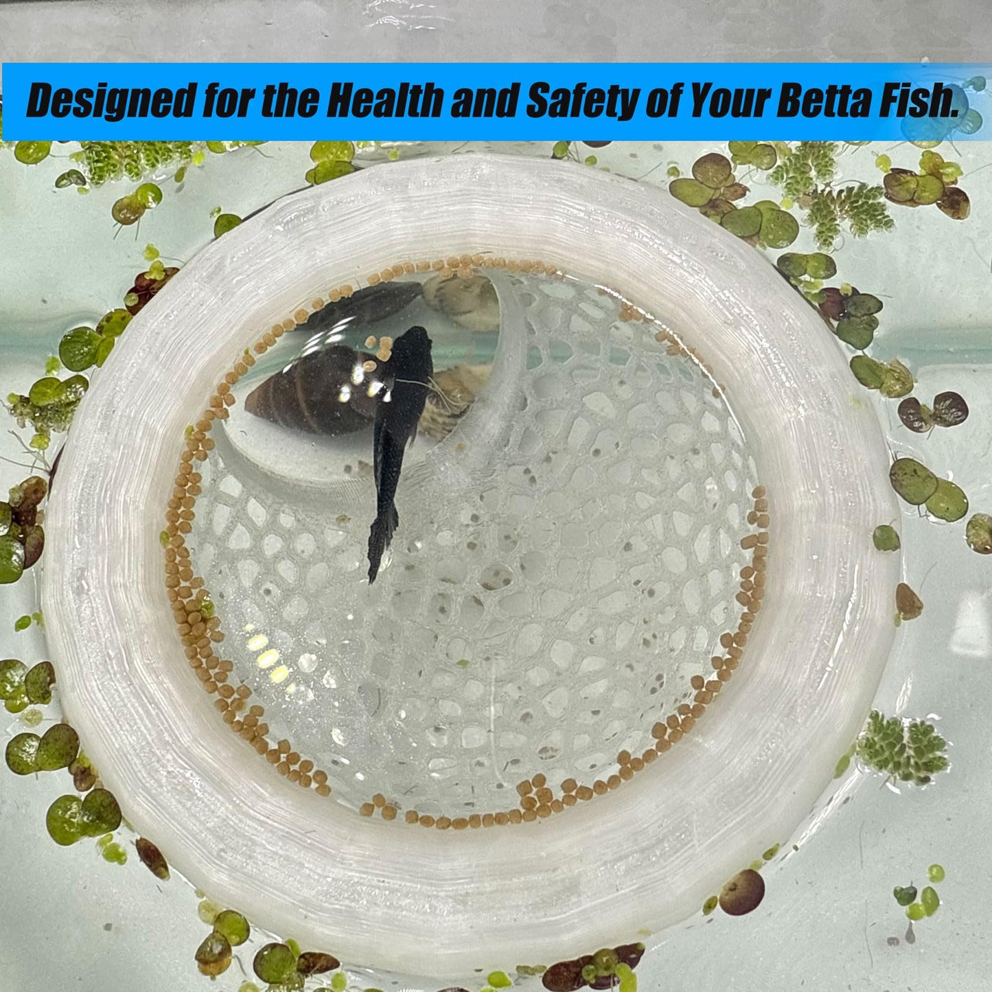 🐟 Floating Fish Rest Area｜Aquarium Hideout Accessory