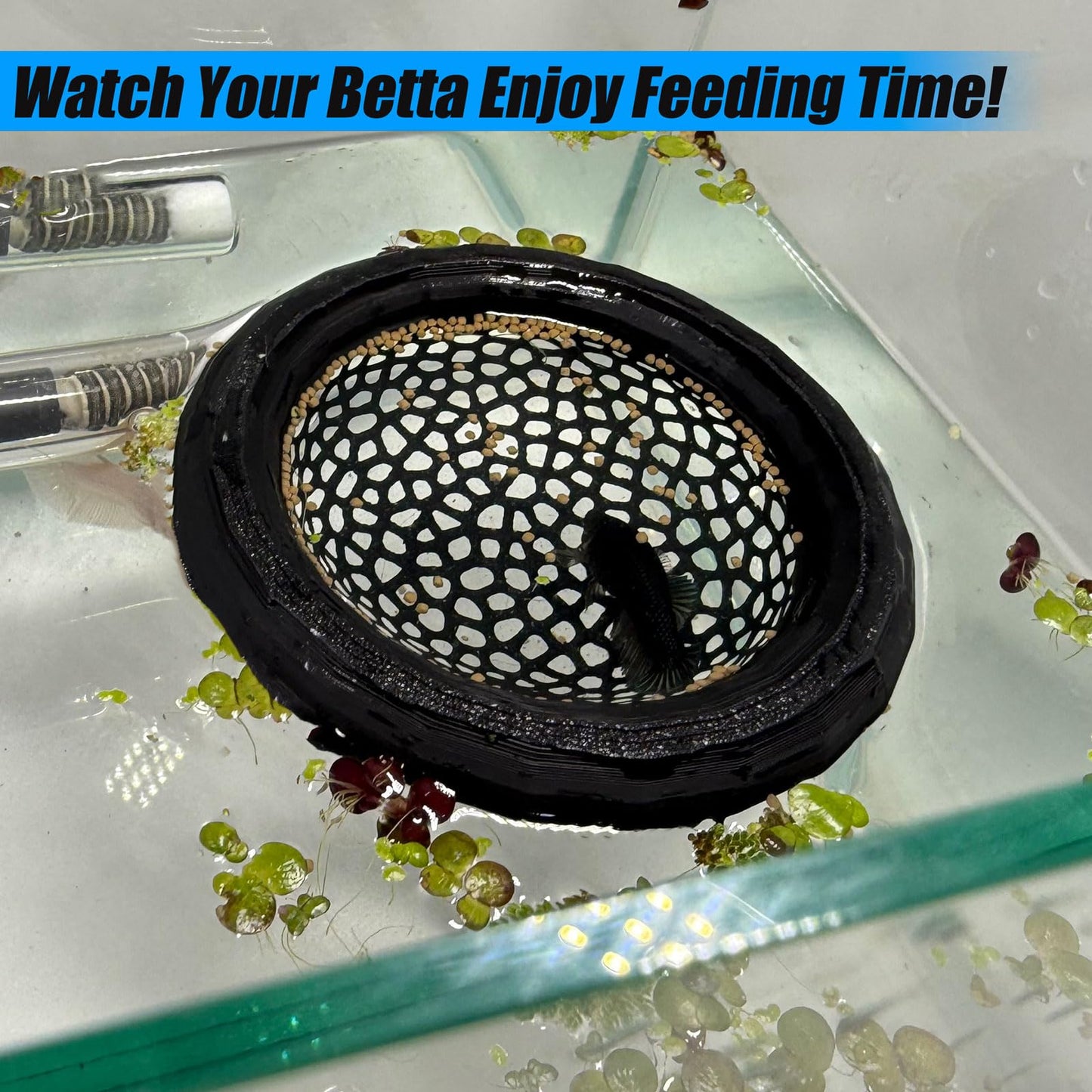 🐟 Floating Fish Rest Area｜Aquarium Hideout Accessory