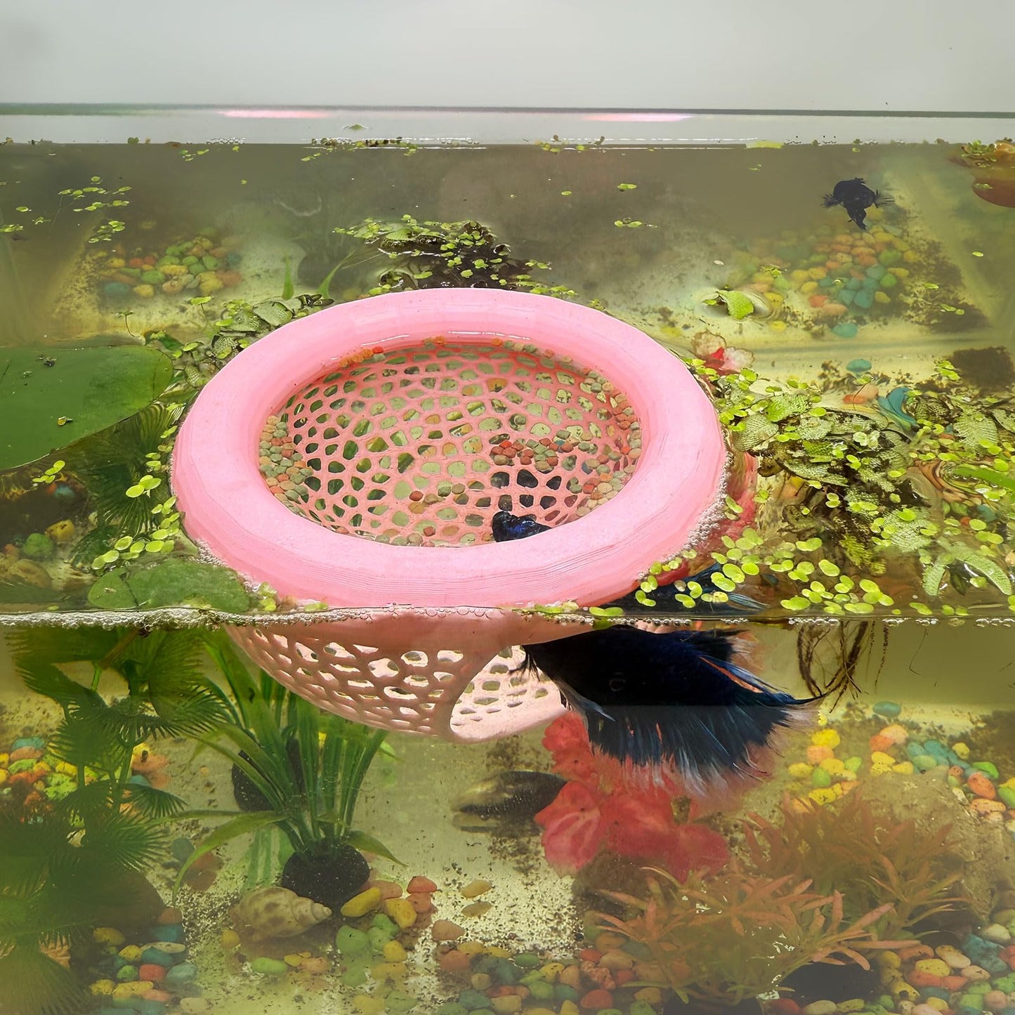 🐟 Floating Fish Rest Area｜Aquarium Hideout Accessory