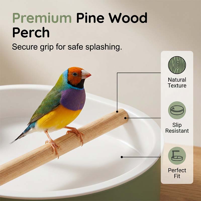 🐦 LIMITED-TIME SALE! 🚿 Electric Bird Bath with Rain Shower & Perch – Safe, Quiet Pump for Happy Birds 🛀