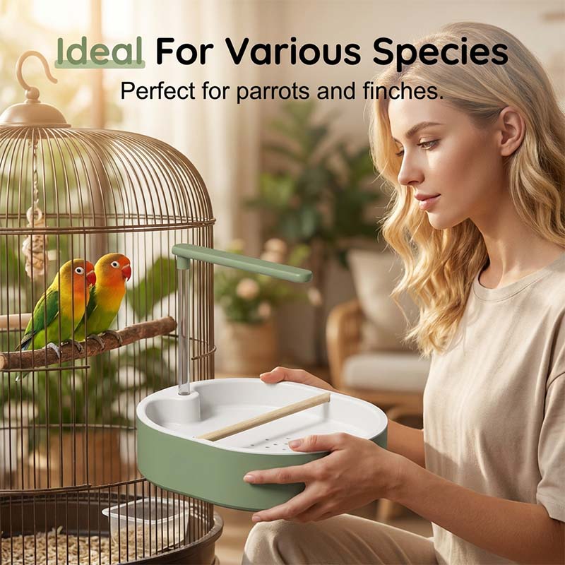 🐦 LIMITED-TIME SALE! 🚿 Electric Bird Bath with Rain Shower & Perch – Safe, Quiet Pump for Happy Birds 🛀